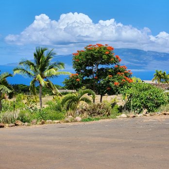 Maui Dragon Fruit Farm - a view of the ocean - Fruits & Veggies Near Me - Lahaina, Hawaii Maui Dragon Fruit Farm - a view of the ocean - Fruits & Veggies Near Me - Lahaina, Hawaii