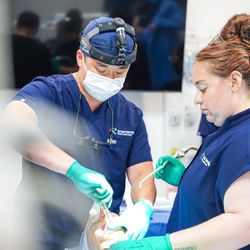 Smart Arches Dental Implants - Dr. Simon Oh, dental implants expert provider in the Philly area