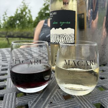 Macari Vineyards - Wineries Near Me - Mattituck, New York