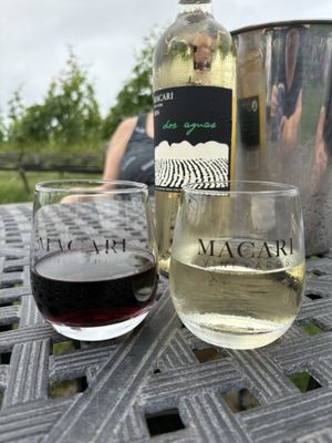 Macari Vineyards by null