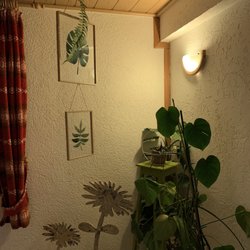 Gasthaus Rappen Peter Bolay e.K. - Ambiente