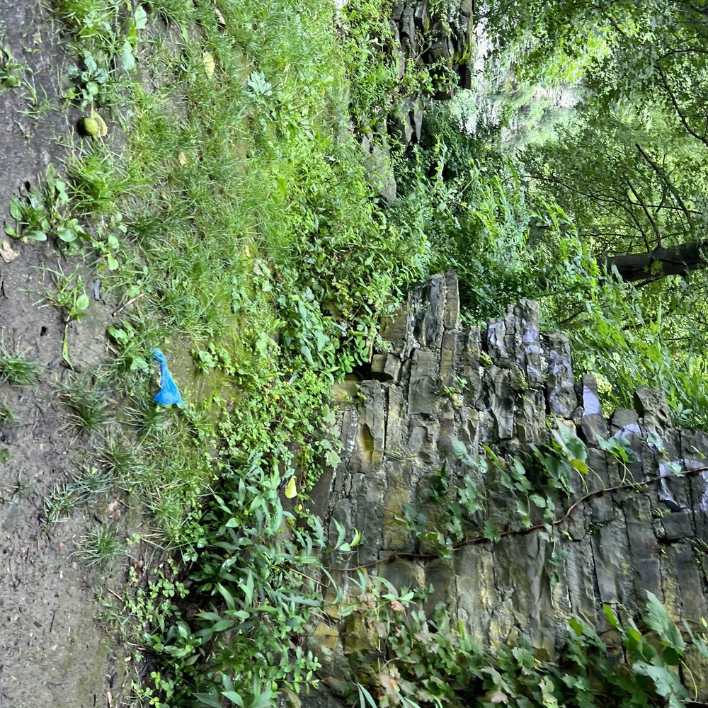 Ithaca Falls - Hiking Near Me