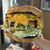 Habit Burger & Grill gift card