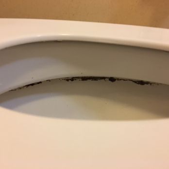 Quality Inn - The commode needs to be replaced - Hotels Near Me - Greeneville, Tennessee