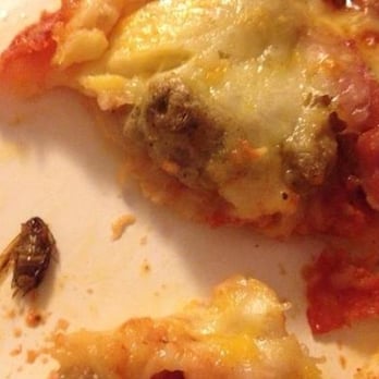 Joe's Pizzeria - Our pizza had a bug in it ! - Pizza Near Me - Brooklyn, New York