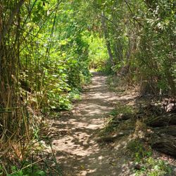 La Orilla Trail