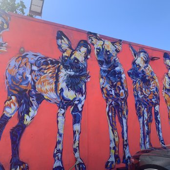 Love C Spot - Tacos Near Me - Austin, Texas