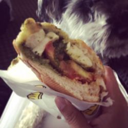 Which Which - My baby boy and Caprese Sandwich