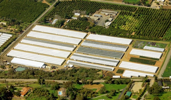 Fresh Origins by null