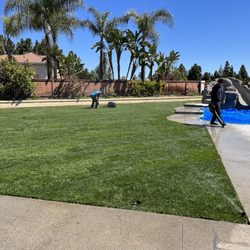 Ever Green Landscaping - New green grass!