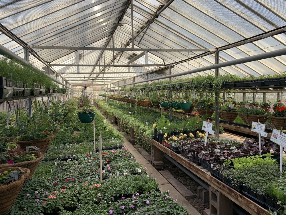 SUNSET GREENHOUSE Updated October 2024 44 Photos 1023 Sunset Rd