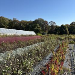 Stone Acres Farm