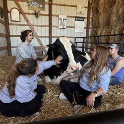 La Farm Girls Cow & Cuddle Academy
