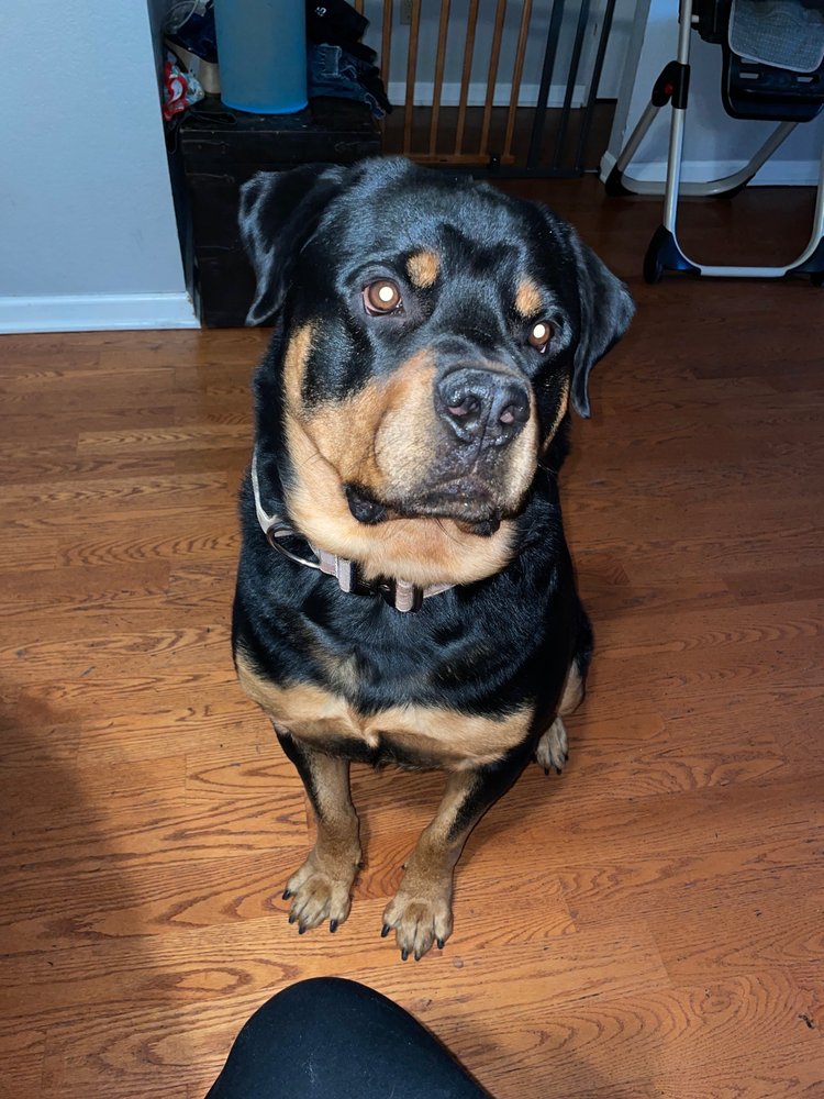 CARTERS PET MART 122 Photos & 216 Reviews 909 W March Ln, Stockton