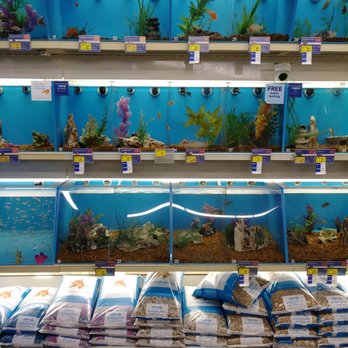 PetSmart - Pet Stores Near Me - Kentwood, Michigan PetSmart - Pet Stores Near Me - Kentwood, Michigan