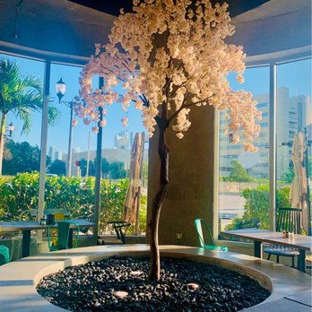 Bistro Cafe - Breakfast & Brunch Near Me - Miami, Florida