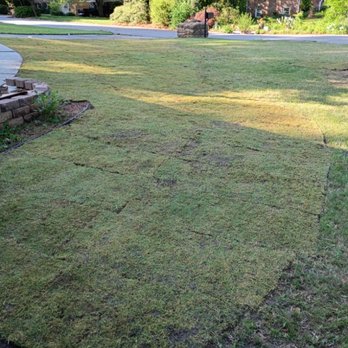 Grace Lawn Care Services - New sod. - Lawn Services Near Me Grace Lawn Care Services - New sod. - Lawn Services Near Me