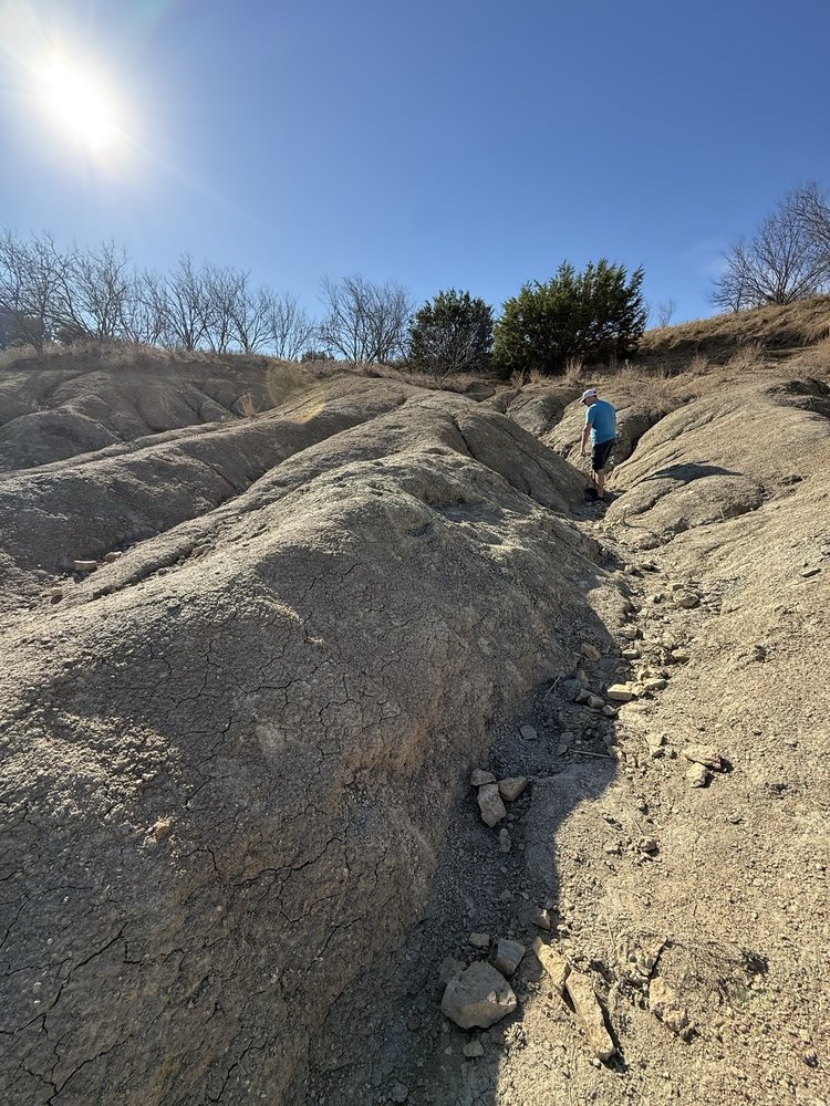 Mineral Wells Fossil Park Logo