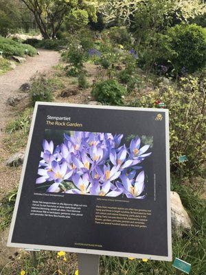 Botaniska trädgården by null