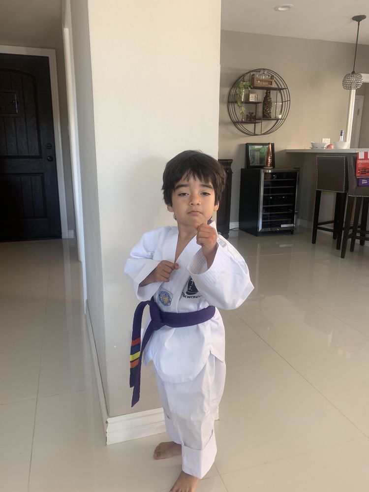 Urrutia's Taekwondo Academy Logo