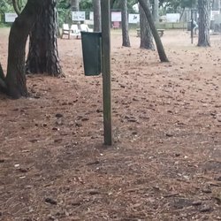 Salty Dog Park - Another disguised poop bag dispenser