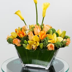 Flores y Servicios