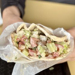 Falafel's Drive-In - Gyros Sandwich