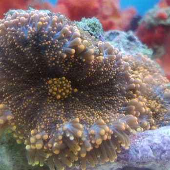 Vets Pets - Aquarium Services Near Me - El Cajon, California Vets Pets - Aquarium Services Near Me - El Cajon, California