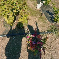 The Urban Edge Farm