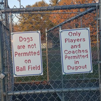 Miracle League Park - Parks Near Me - West Hartford, Connecticut Miracle League Park - Parks Near Me - West Hartford, Connecticut