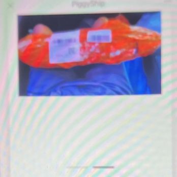 Piggyship - On their lap - Couriers & Delivery Services Near Me - Rowland Heights, California