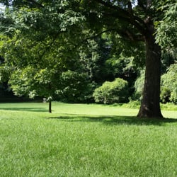 Chantilly Park
