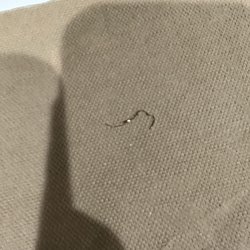 The thing that you clean the pan with metal almost swallow it.