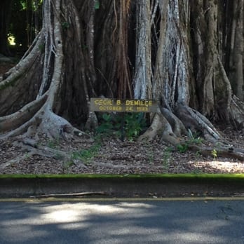 Banyan Drive - Local Flavor Near Me - Hilo, Hawaii Banyan Drive - Local Flavor Near Me - Hilo, Hawaii