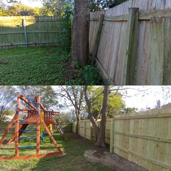 Sunlight Tree Service - Recommended 1ftx2ft boxing around trees to allow for future service or garden needs. - Tree Services Near Me