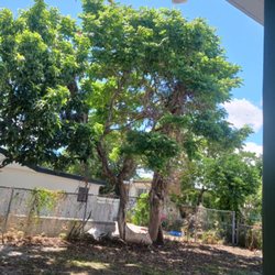 Smiff And Son Landscaping