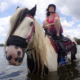 Horses on the beach Horses on the beach