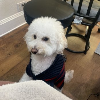 Plush Nails Spa - Ben wanted to hang out w me - Nail Salons Near Me - San Francisco, California