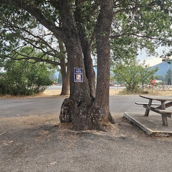 Dotty's - Burgers Near Me - Etna, California