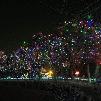 Denver Zoo Lights - Festivals Near Me - Denver, Colorado Denver Zoo Lights - Festivals Near Me - Denver, Colorado