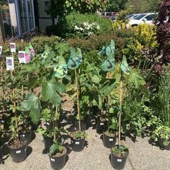 Harbor Greens - Fresh plants - Grocery Near Me - Gig Harbor, Washington