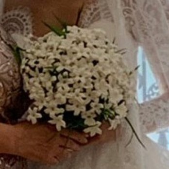 Tulip Florist - Florists Near Me - Thornhill, Ontario Tulip Florist - Florists Near Me - Thornhill, Ontario