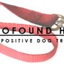 Photo of The Profound Hound