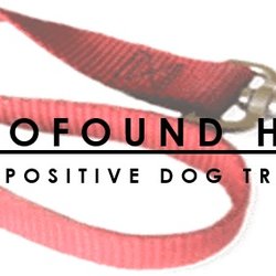 The Profound Hound