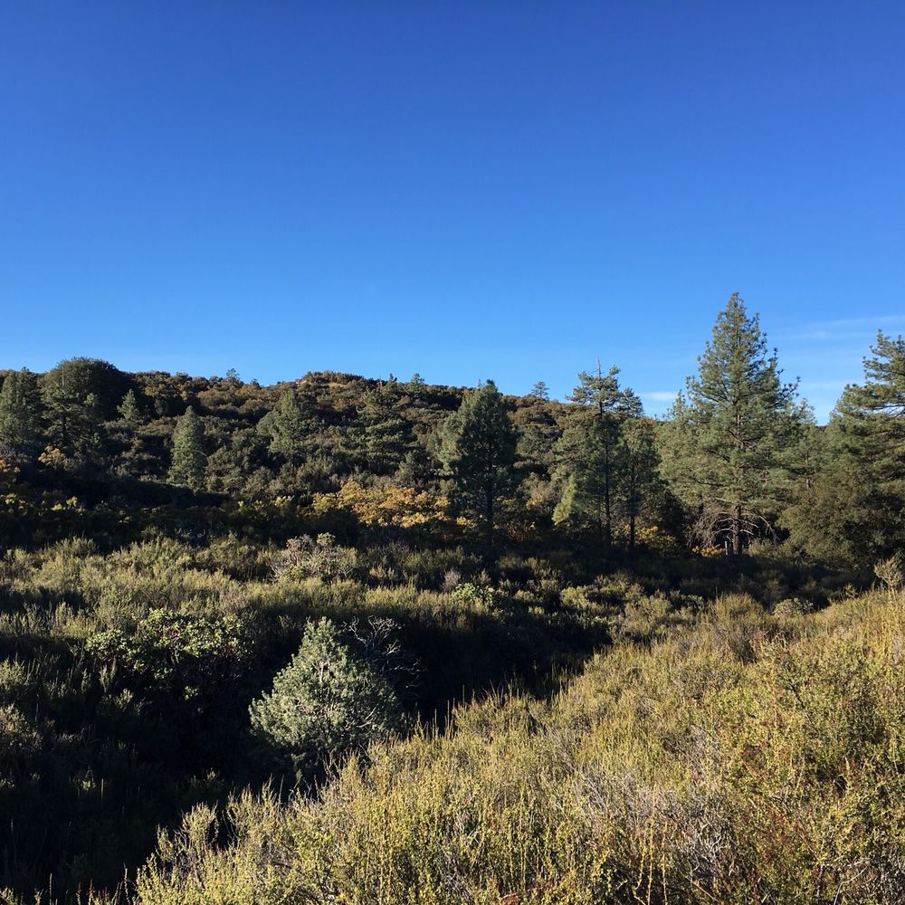 The Pacific Crest Trail - Parks Near Me - Anza, California The Pacific Crest Trail - Parks Near Me - Anza, California
