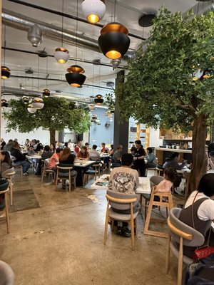 Baby Cafe San Leandro by null