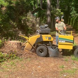 Southeast Stumps