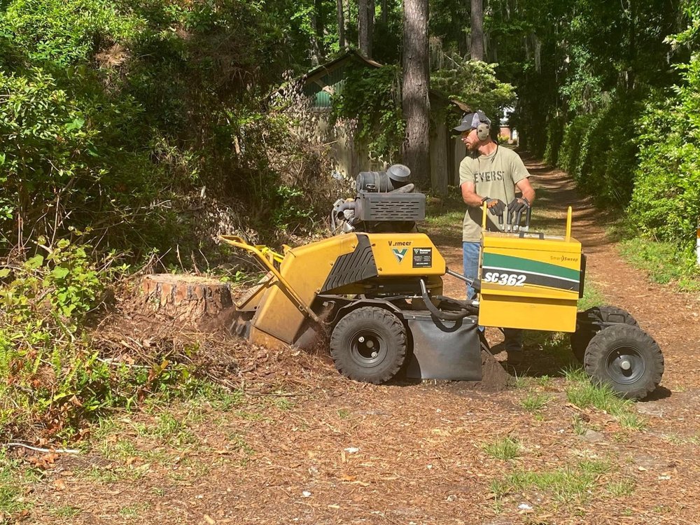 Southeast Stumps - tree service in Ludowici, GA