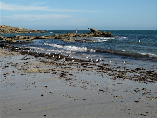 Sofitel Quiberon Thalassa sea & spa by null