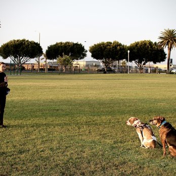 Ruff Start Training - Pet Training Near Me Ruff Start Training - Pet Training Near Me